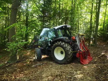 Lindner beim Holzstreifen